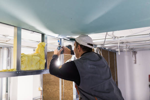 Types of Insulation We Offer in Marin City, CA
